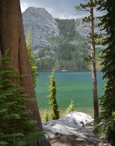 P1030120-jmt-130704-greens-blues-shadow-lake