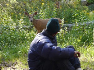 P1030405-jmt-130712-deer-talks-to-green-one