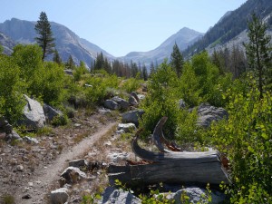 P1030431-jmt-130713-deer-creek