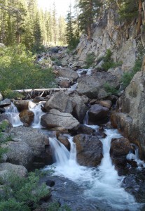 P1030207-jmt-130708-fish-creek-waterfall